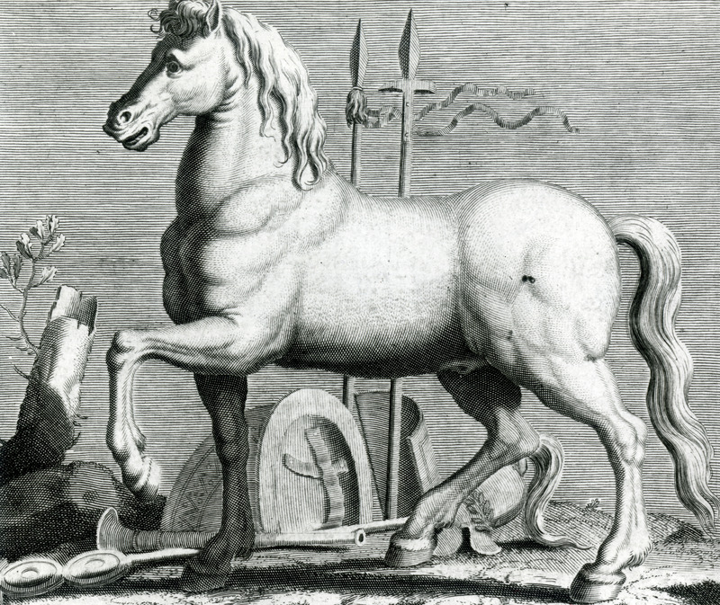 The side view of a horse is shown in this illustration from the one millionth volume added to the Iowa State University Library collection.