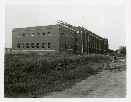 At this stage of construction the exterior brick walls and roof trusses of State Gymnasium are visible in this northeast view. Piles of dirt and building supplies surround the gymnasium. There are no sidewalks or roads.
