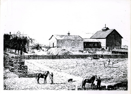 View of barns and yards near Dairy Industries, circa 1884.