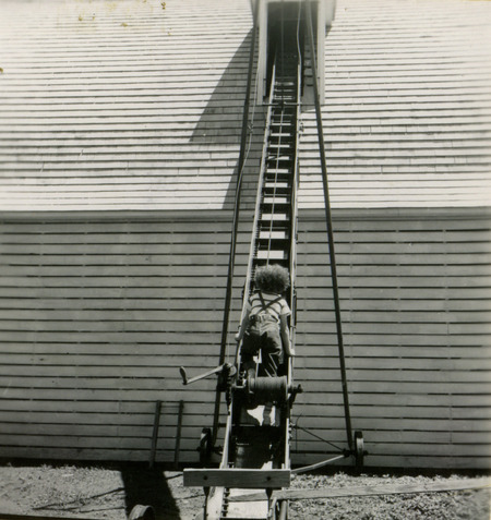 Little Sorenson, on Irving Sorenson family farm, climbs up the conveyor belt that carries crops to the top of the grain bin, in an example of a farm safety issue.