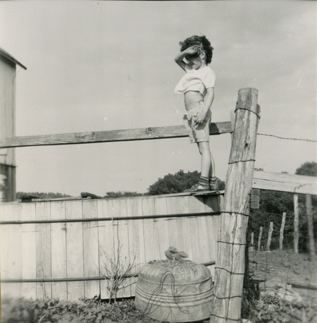 Little Sorenson walks on a fence on the Irving Sorenson farm, in an example of a farm safety issue.