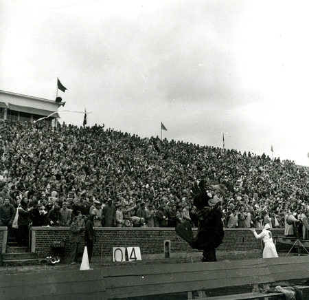 A cheerleader and Cy perform before the crowd at the Iowa State vs. Kansas State Homecoming Game at Clyde Williams Field.