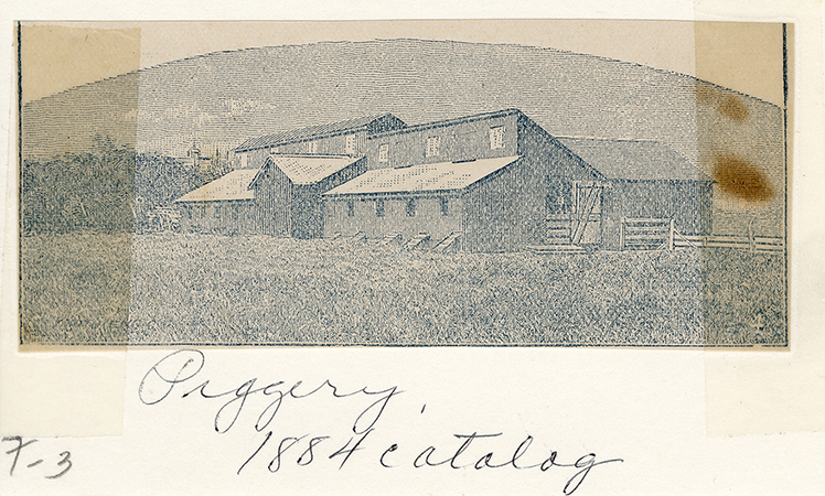 Etching showing the Piggery from the 1884 catalog depicting the swine breeding barn. Annotation: "Piggery 1884 catalog."