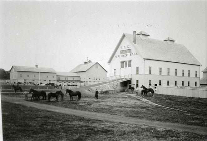 Photograph of the Iowa Agricultural College Experiment Barn with several horses and people in the foreground, and the first cattle barn in the background.