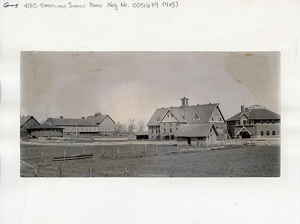 Photograph showing the barn complex at the Agricultural Experiment Station. It shows the Judging Pavilion, the Experiment Station Barn, the Cattle Barn, the current Theater Workshop, and the current Landscape Architecture building.