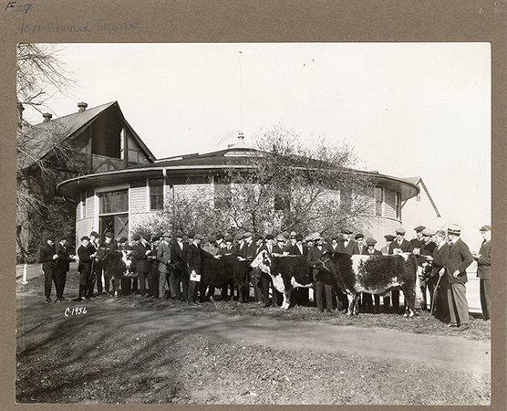 Annotation: "Judging beef cattle. Remodelled for theatre workshop."