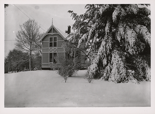 Photograph of Pope Cottage on the Iowa State campus, showing a two-story wooden residence. The building is partially obscured by trees heavily covered in snow. The ground and surrounding landscape are blanketed in snow, indicating a winter setting. Annotation: "Pope Cottage, built in 1877, purchased by college in 1885. Now the home of the Provost, James. H. Jensen. (1954). Pope Cottate 1954."