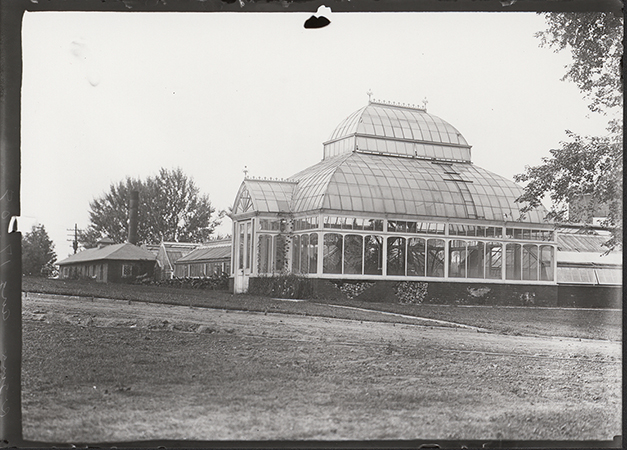 Photograph of two greenhouses and the brick potting shed, which later became the Ceramic Studio. The photograph depicts a barrel-vaulted roof in the nearest greenhouse, where trees are visible inside. Behind that greenhouse sits another shorter greenhouse with angled roof. The shed is a brick building on the left with a smokestack.