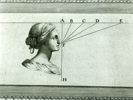 The proportions of a woman's face and head are shown in profile in this illustration from the one millionth volume added to the Iowa State University Library collection.