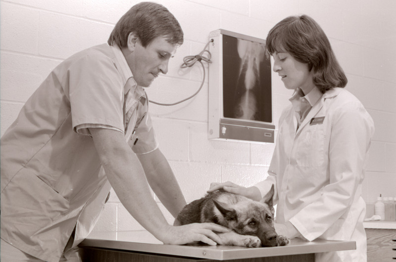 Photograph of veterinarian Sue O'Brien and student examining a dog