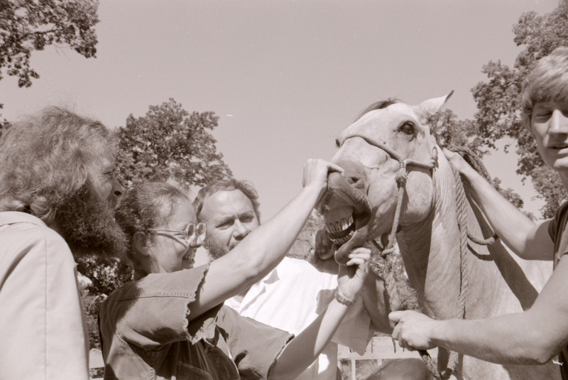 Photograph of Paul Eness and senior students (class of 1981) examining horses