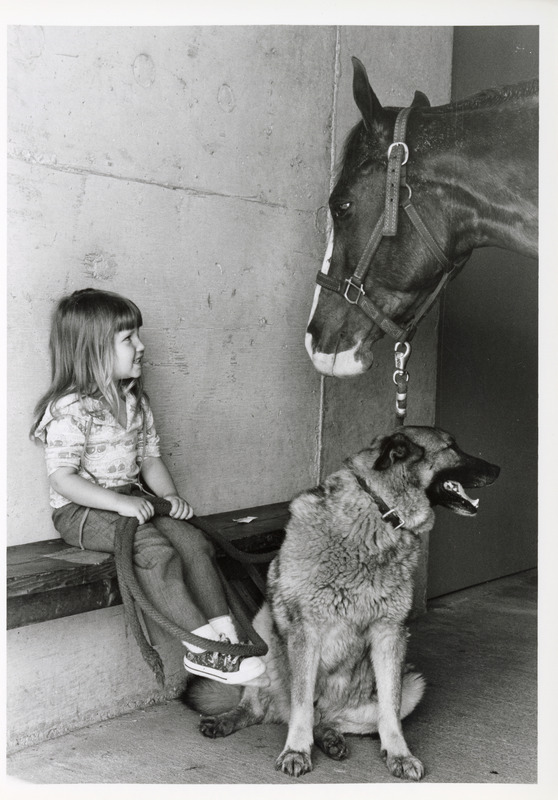 Photograph of a young girl with a horse and dog at the animal hospital