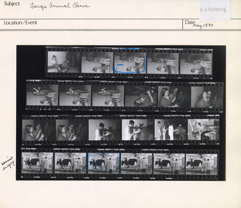 Annotation: "Large Animal Clinic"