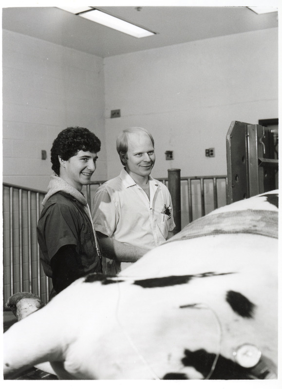 Photograph of veterinarian James Thompson and student in the large animal surgery room