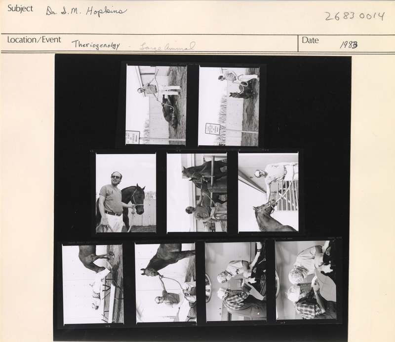 Annotation: "Dr. S. M. Hopkins. Theriogenology, Large Animals"