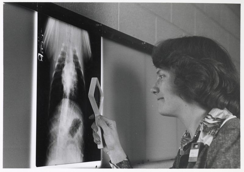 Photograph of Sandra McNeel examining a radiograph