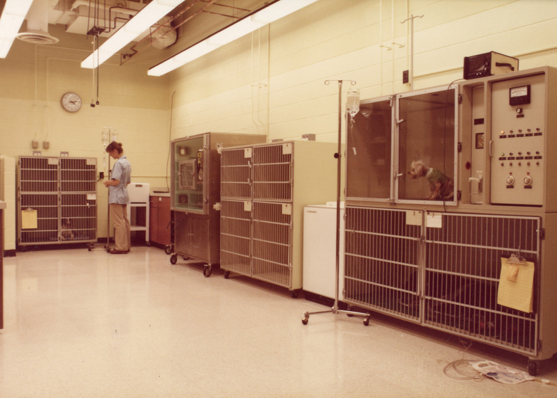 Photograph of the intensive care unit at the small animal hospital