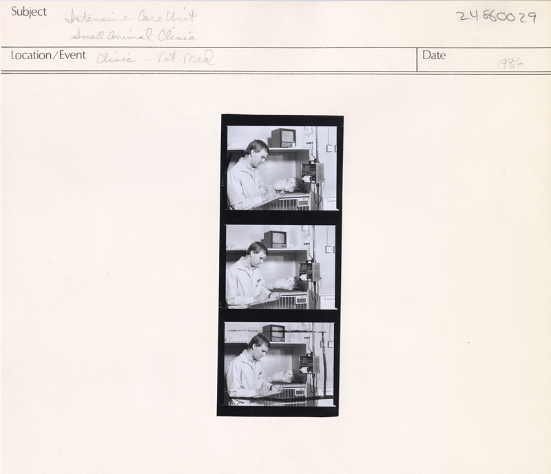 Annotation: "Intensive Care Unit. Small Animal Clinic. Clinic - Vet Med"