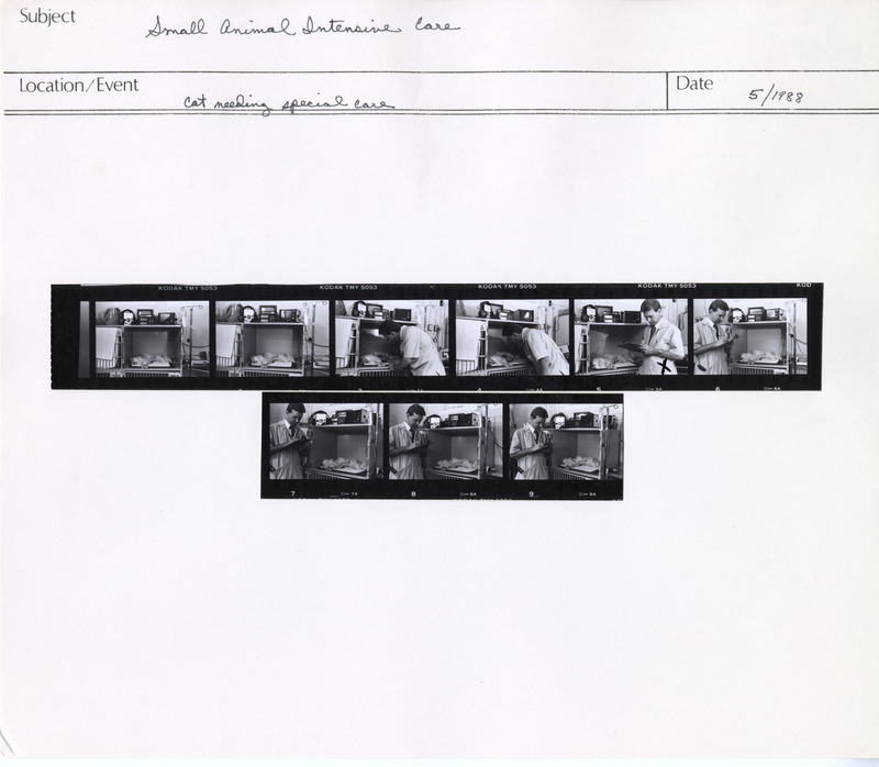 Annotation: "Small Animal Intensive Care. Cat needing special care"