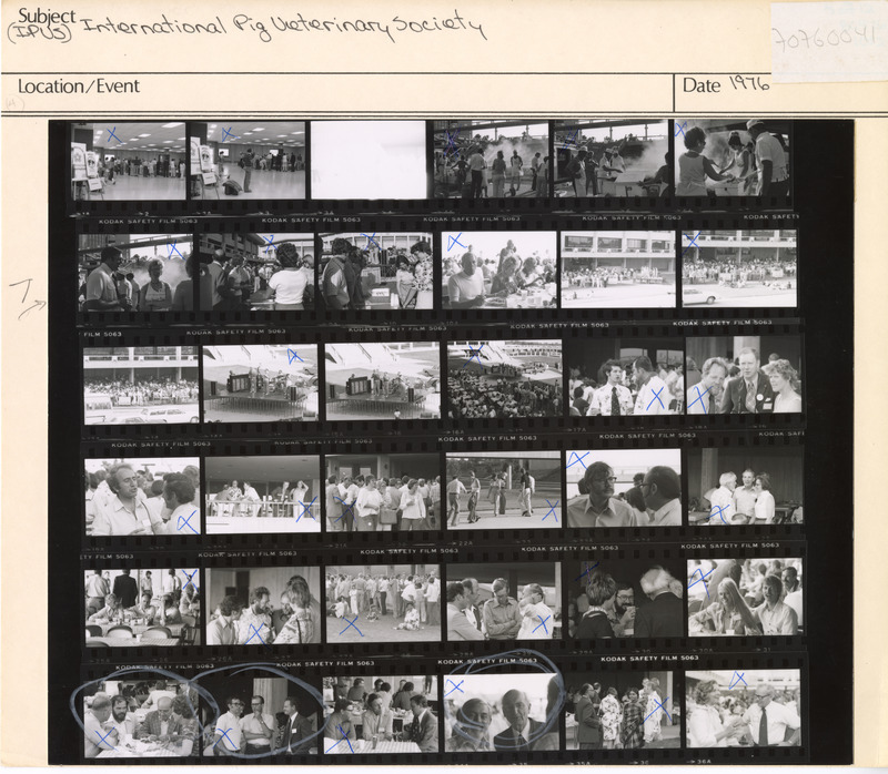 Annotation: "(IPVS) International Pig Veterinary Society"