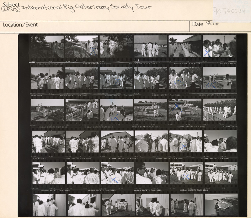 Annotation: "(IPVS) International Pig Veterinary Society Tour"