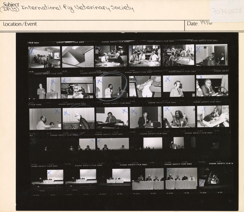 Annotation: "(IPVS) International Pig Veterinary Society"