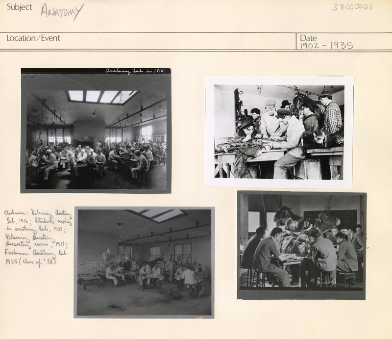 Annotation: "Anatomy. Clockwise: Veterinary Anatomy Lab, 1916; Students working in anatomy lab, 1902; Veterinary anatomy dissecting room, 1913; Freshman Anatomy lab 1935 (Class of '38)"