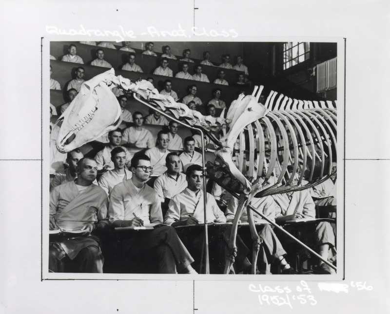 Annotation: "Quadrangle - Anat. Class, Class of '56, 1952/'53"