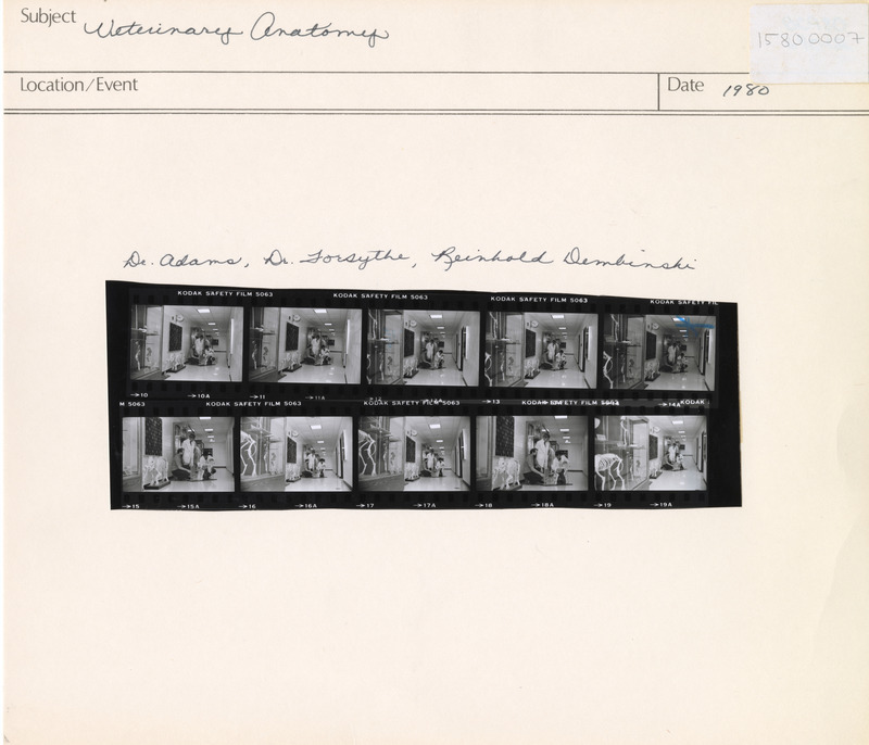 Annotation: "Veterinary Anatomy. Dr. Adams, Dr. Forsythe, Reinhold Dembinski"