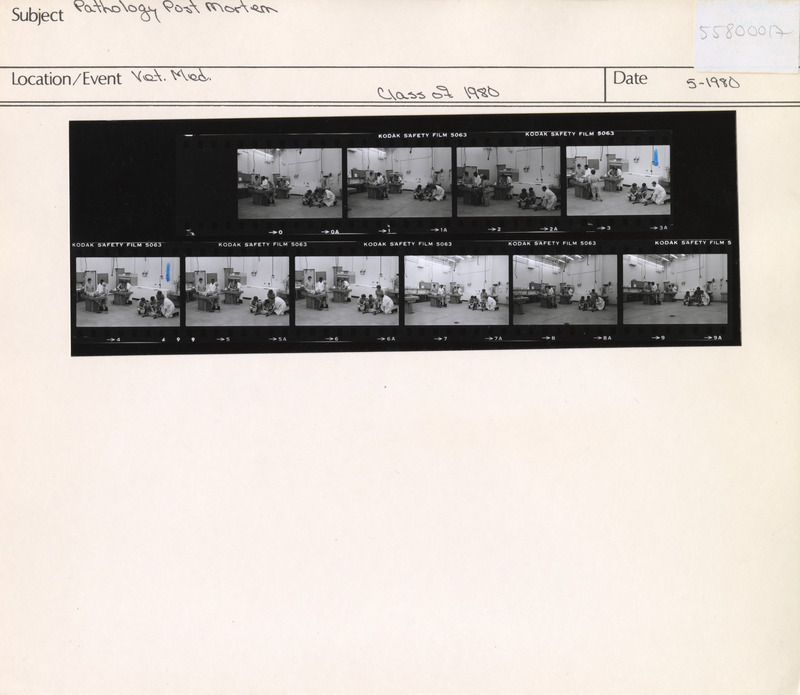 Annotation: "Pathology Post Mortem. Vet. Med. Class of 1980"
