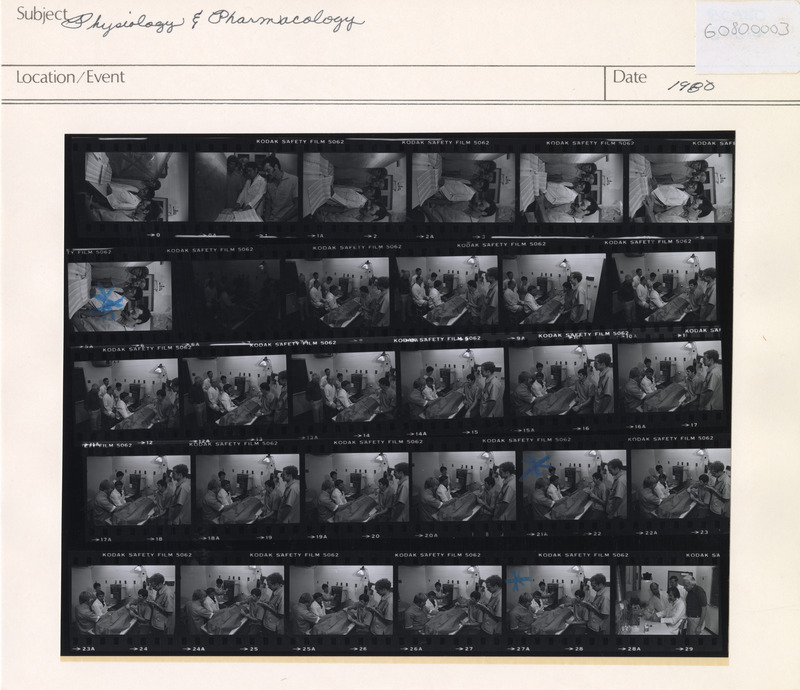 Annotation: "physiology and pharmacology"