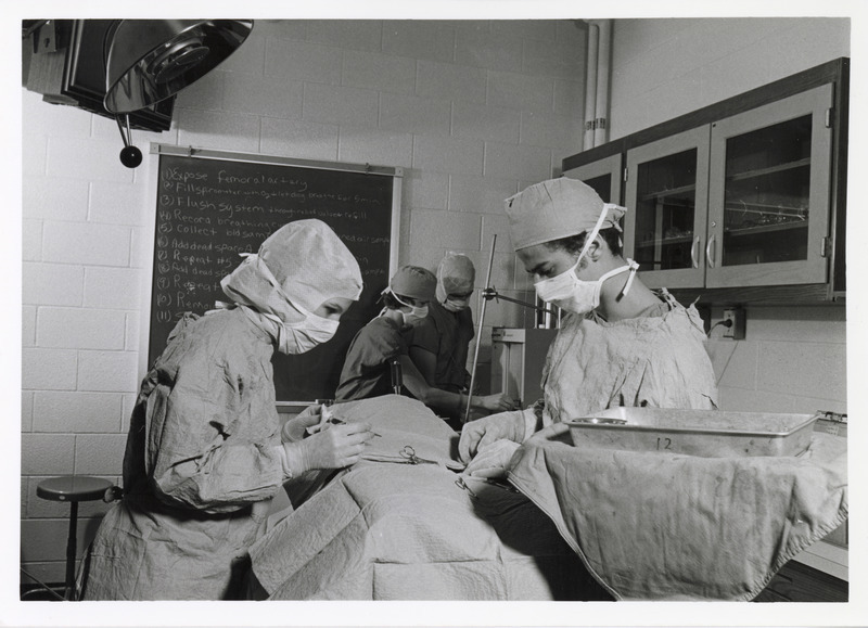 Annotation: "Vet. Physiology. Dr. Reece"