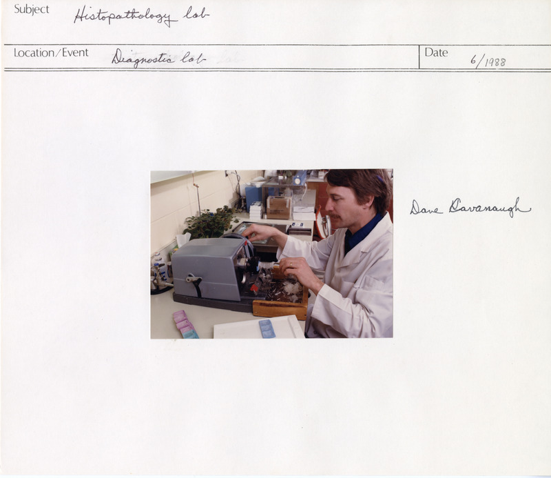 Annotation: "Histopathology lab. Diagnostic lab. Dave Cavanaugh"