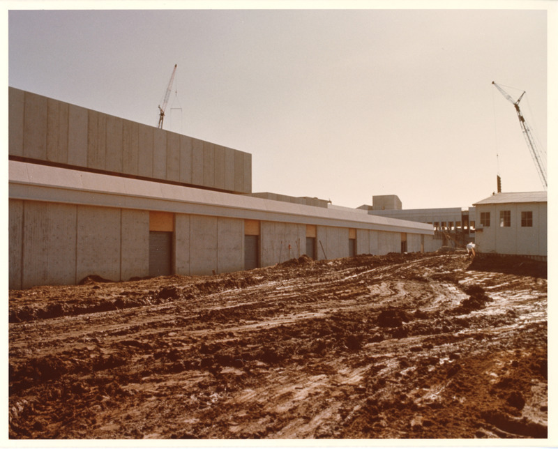 Photograph of construction of the College of Veterinary Medicine complex (later named Patterson Hall and Lloyd Veterinary Medical Center)