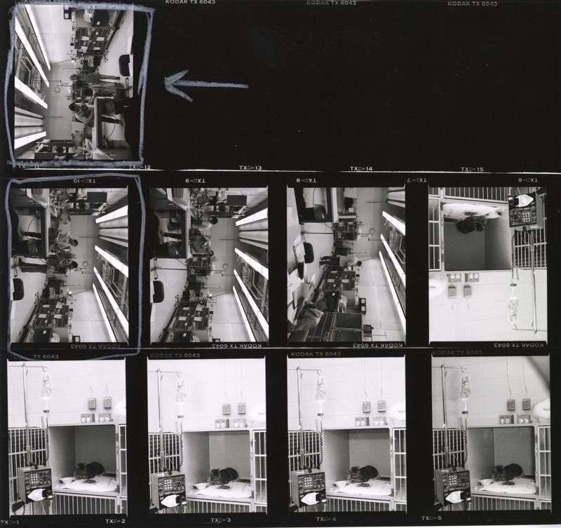 Contact sheet with images of the intensive care unit in the small animal hospital