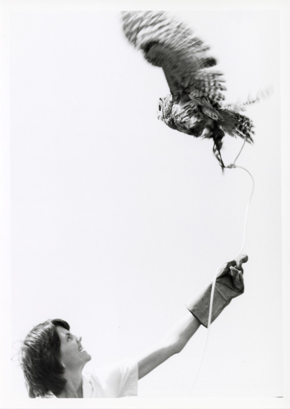 Photograph of Susan Barrows flying an owl