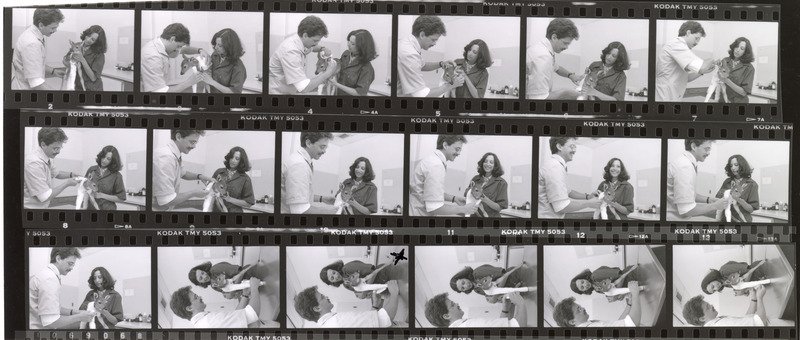 Contact sheet with images of clinicians treating a fawn for a broken leg