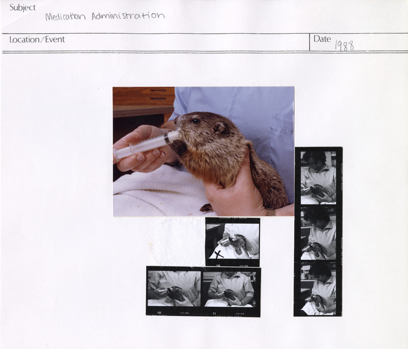 Annotation: "Medication Administration"