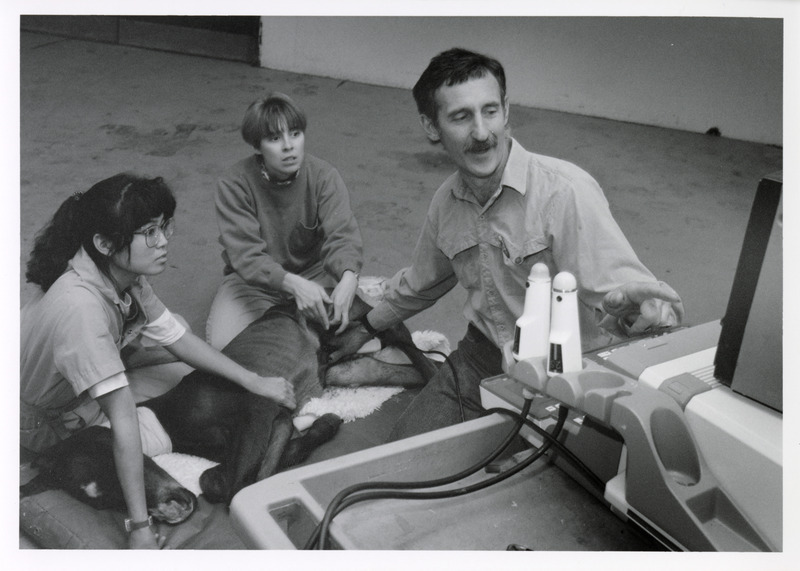 Photograph of Eric Davis demonstrating how to perform an ultrasound on a foal
