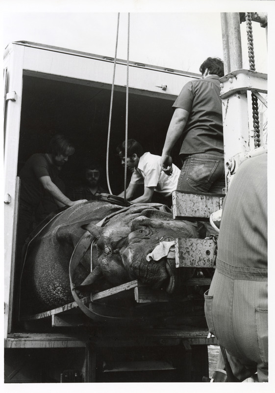 Annotation: "Clinics Gen. Tiny from Omaha. 20 Feb. 75"