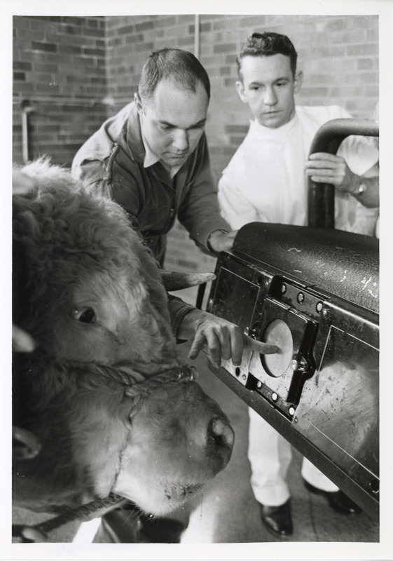 Annotation: "Radiology"