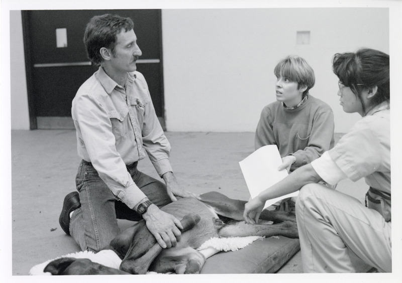Photograph of Eric Davis demonstrating to senior students how to care for a foal