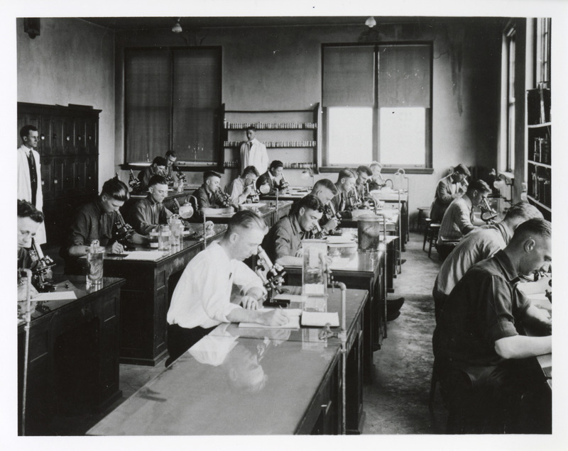 Photograph of veterinary students using microscopes in the laboratory