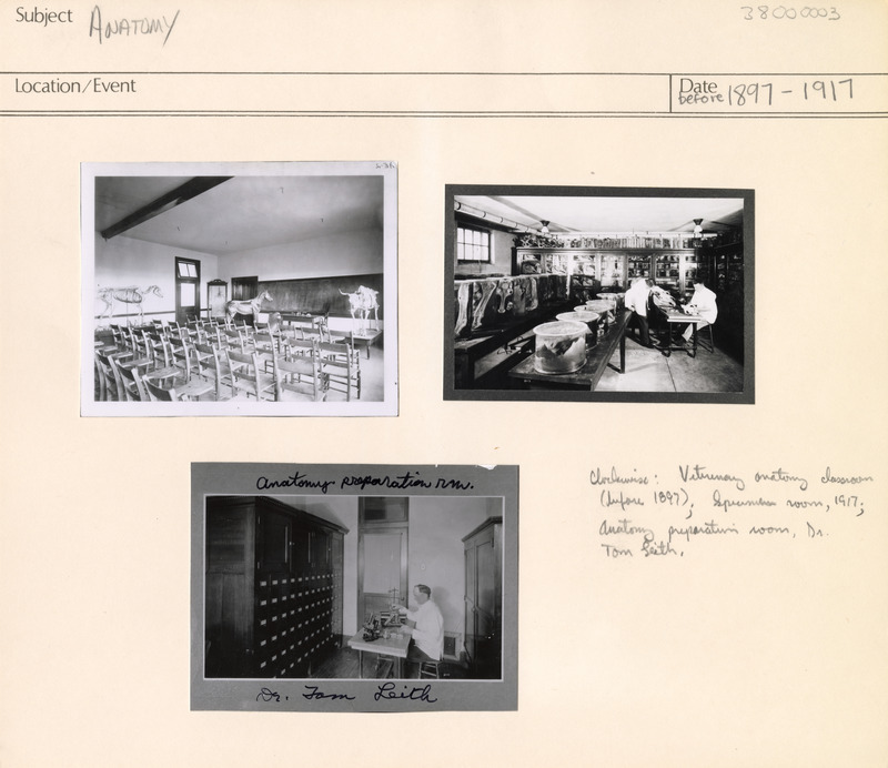 Annotation: "Clockwise: Veterinary anatomy classroom (before 1897); specimen room, 1917; anatomy preparation room, Dr. Tom Leith"