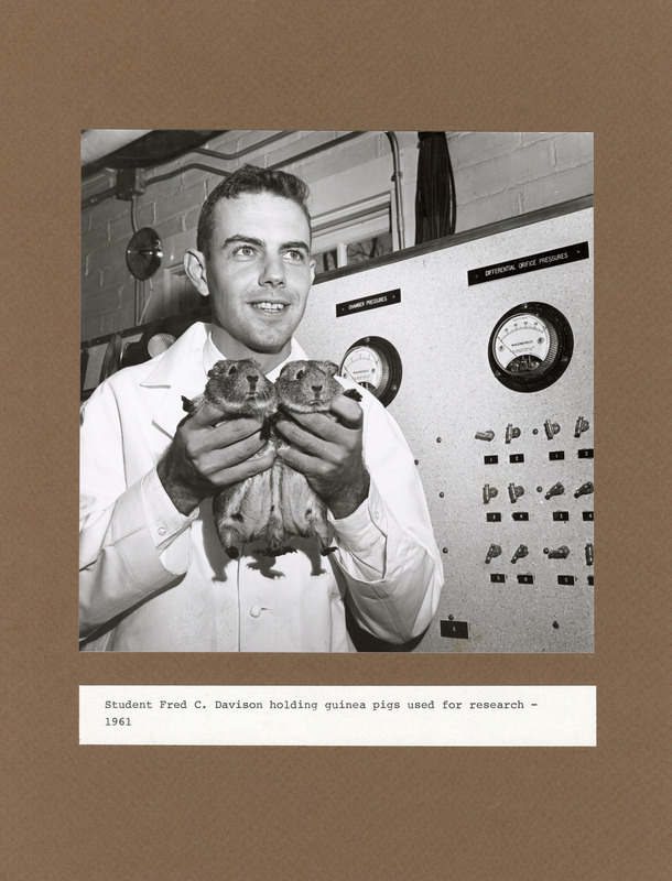 Annotation: "Student Fred C. Davison holding guinea pigs used for research - 1961"