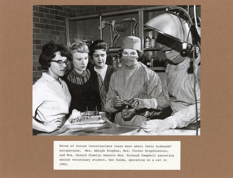 Annotation: "Wives of future veterinarians learn more about their husbands' occupations. Mrs. Adolph Stephan, Mrs. Victor Klopfenstein, and Mrs. Gerald Crawley observe Mrs. Richard Campbell assisting senior veterinary student, Don Yanda, operating on a cat in 1962."