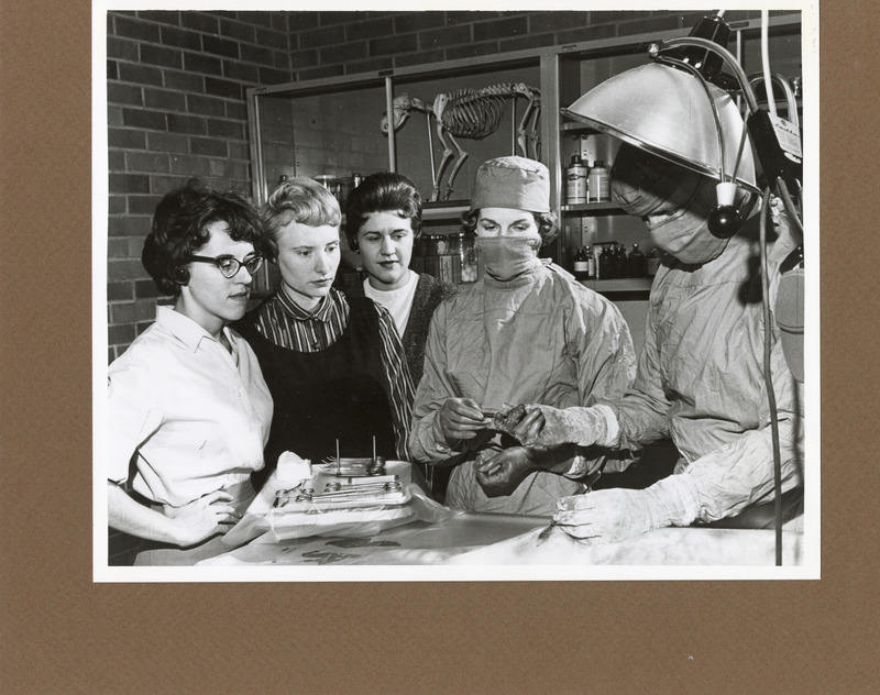 Photograph of veterinary students' wives observing as Mrs. R. Campbell assists senior veterinary student, Don Yanda, operate on a cat