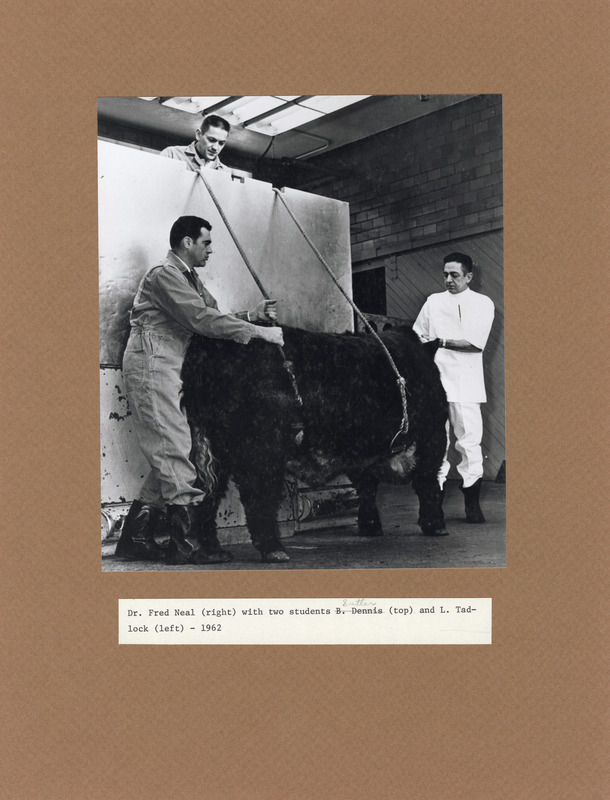 Annotation: "Dr. Fred Neal (right) with two students Sutter a(top) and L. Tadlock (left) - 1962"