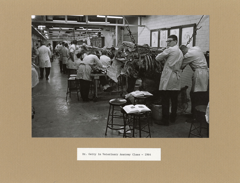 Annotation: "Dr. Getty in Veterinary Anatomy Class - 1964"