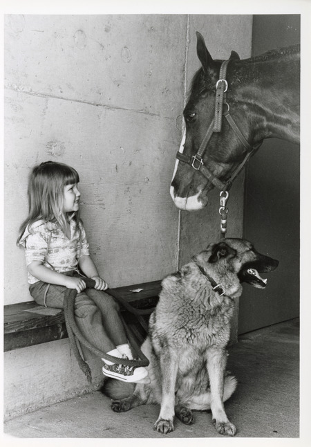 Photograph of a young girl with a horse and dog at the animal hospital